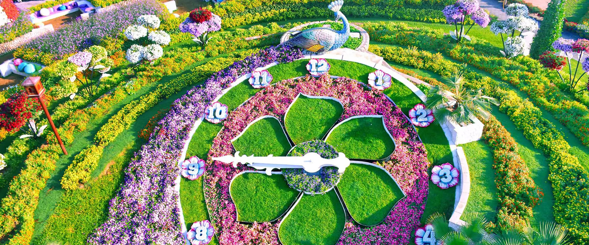 Miracle Garden